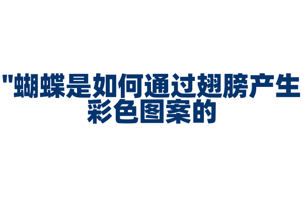 "蝴蝶是如何通过翅膀产生彩色图案的？"
